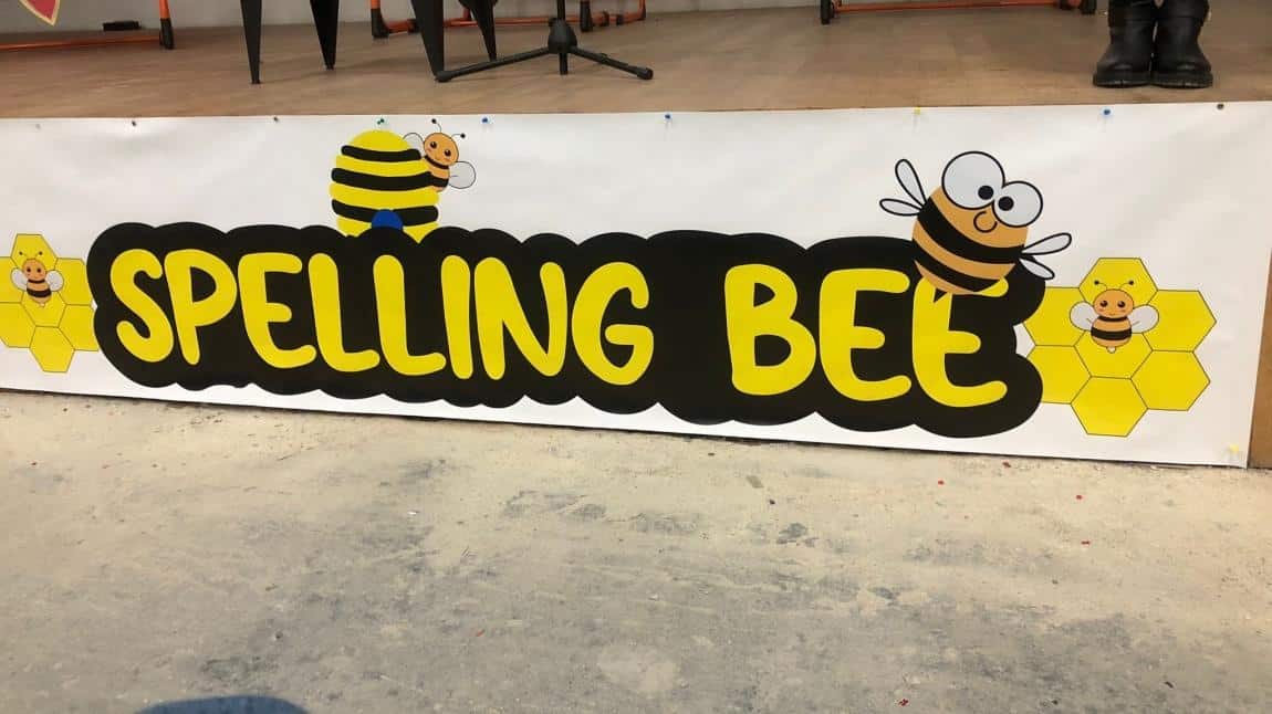 Spelling Bee Turnuvası 